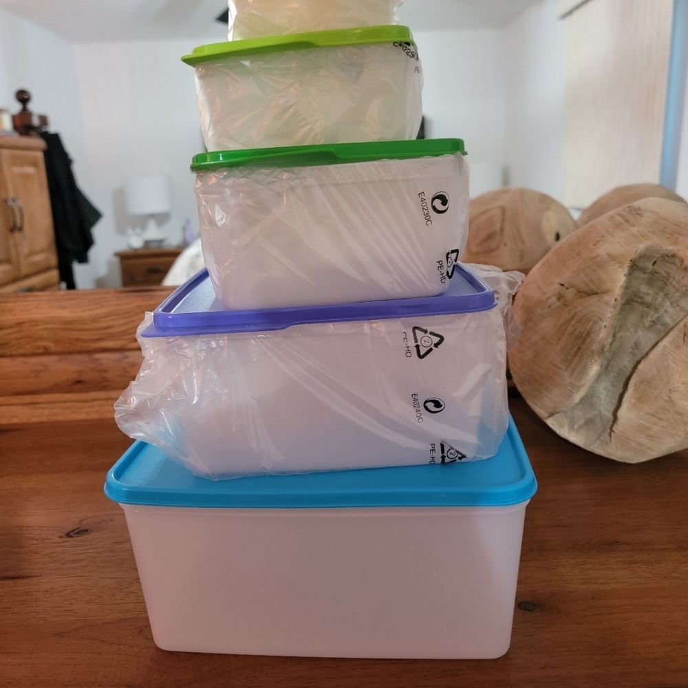 Tupperware Multicolor Food Storage Set